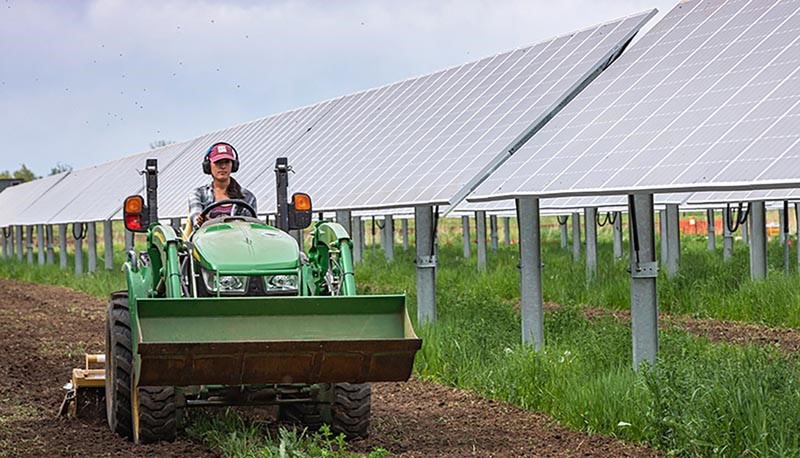 Solar Agrivoltaics other types of produce