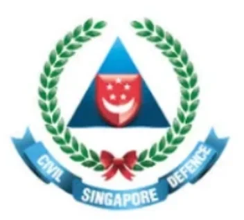 image11 image11